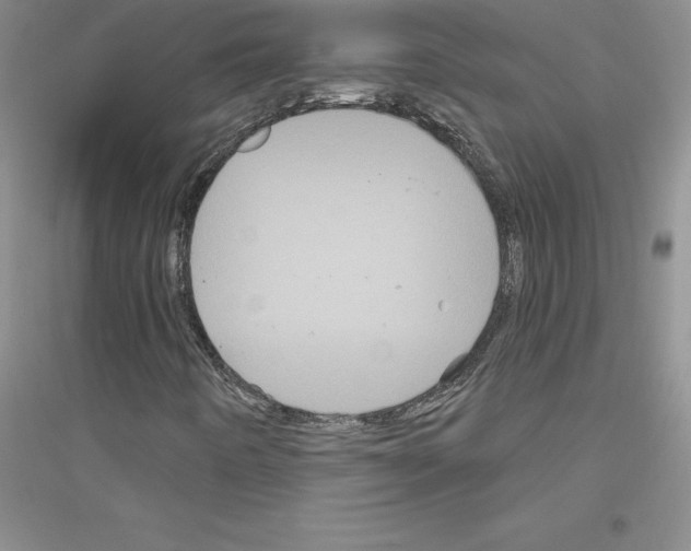 X0000116871442201002021117