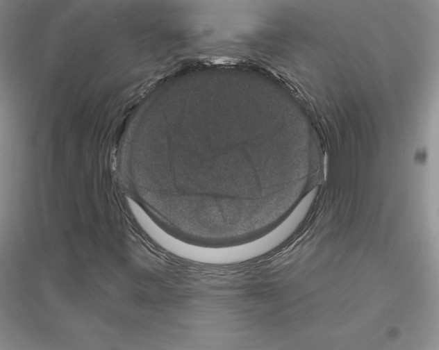 X0000116871443201002021117