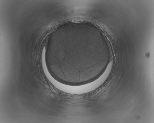 X0000116871445201002021117
