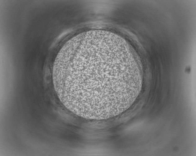 X0000116871446201002021117