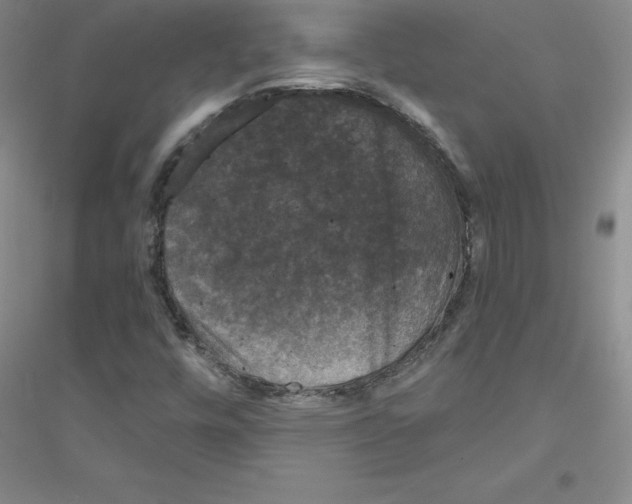 X0000116871448201002021117