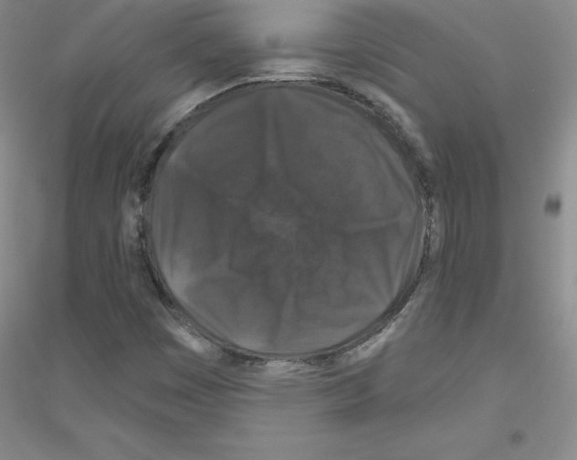 X0000116871449201002021117
