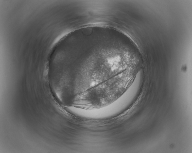 X0000116871450201002021117