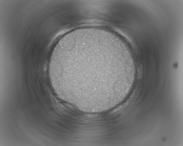 X0000116871451201002021117