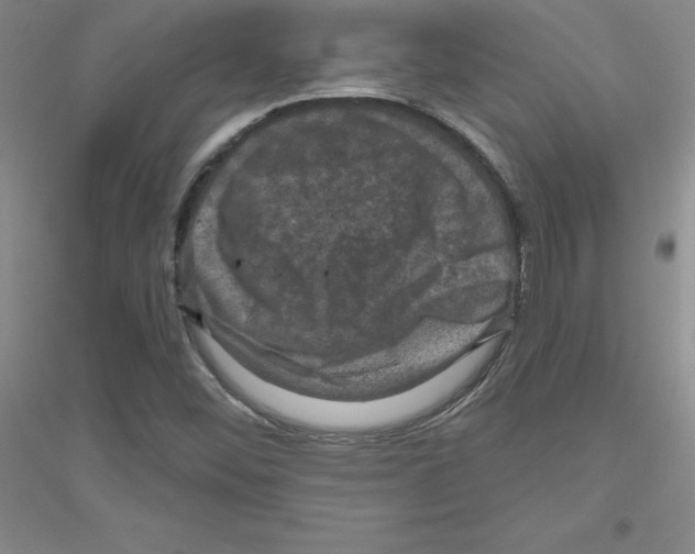 X0000116871452201002021117