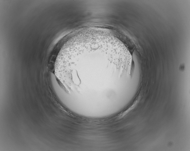 X0000116871453201002021117