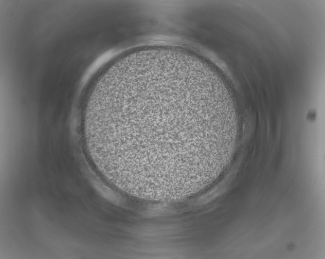 X0000116871454201002021117