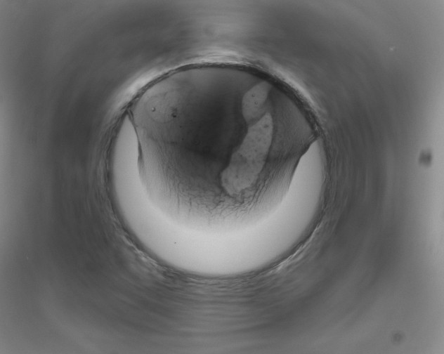 X0000116871455201002021117
