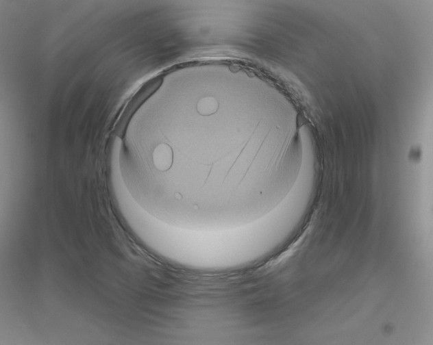 X0000116871457201002021117