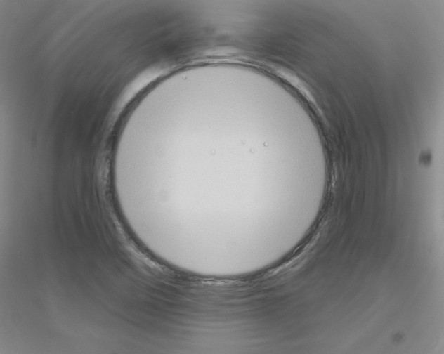 X0000116871458201002021117