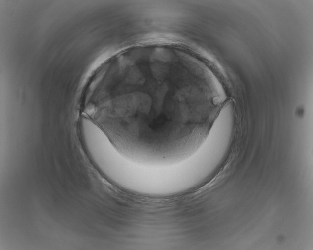 X0000116871459201002021117
