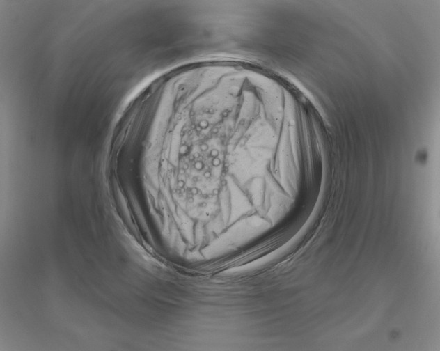 X0000116871460201002021117