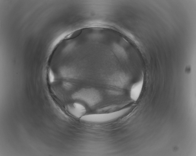 X0000116871463201002021117
