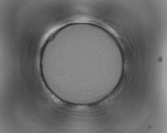 X0000116871464201002021117