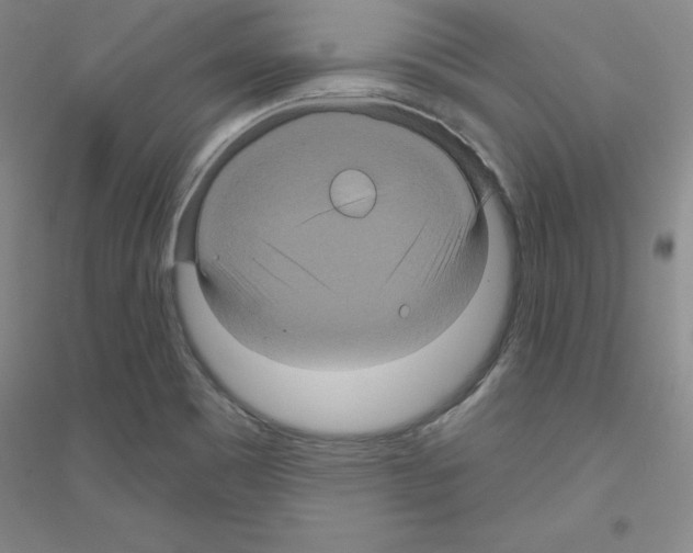 X0000116871465201002021117