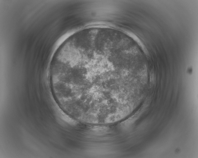X0000116871466201002021117