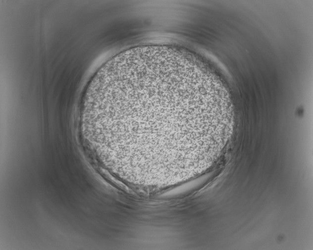 X0000116871467201002021117