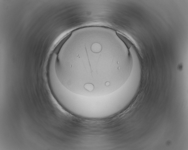 X0000116871468201002021117