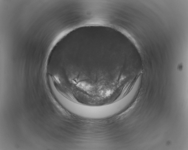 X0000116871469201002021117