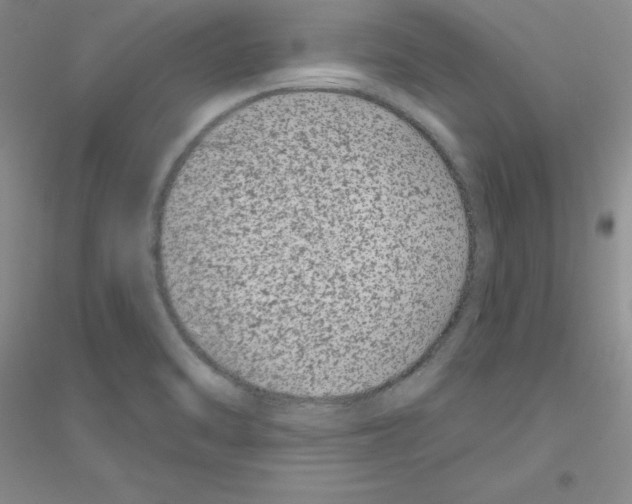 X0000116871470201002021117