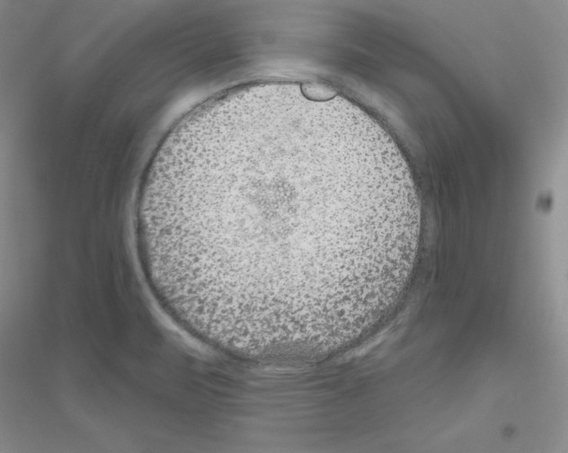 X0000116871471201002021117