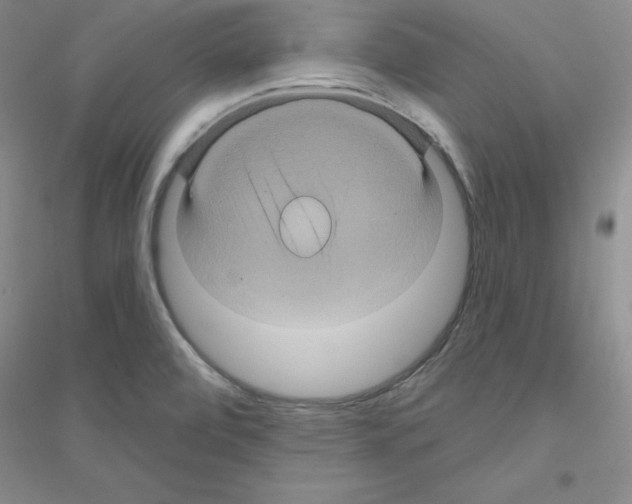 X0000116871472201002021117