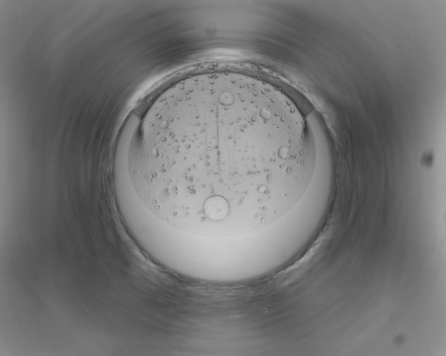 X0000116871473201002021117