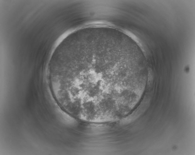 X0000116871474201002021117