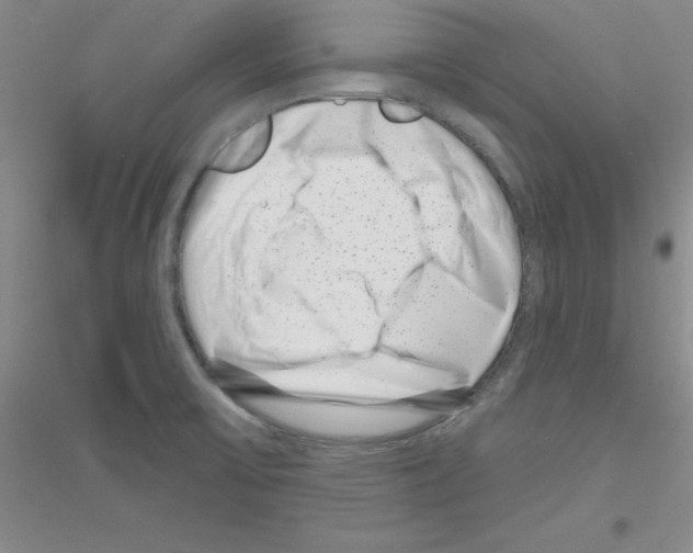 X0000116871475201002021117