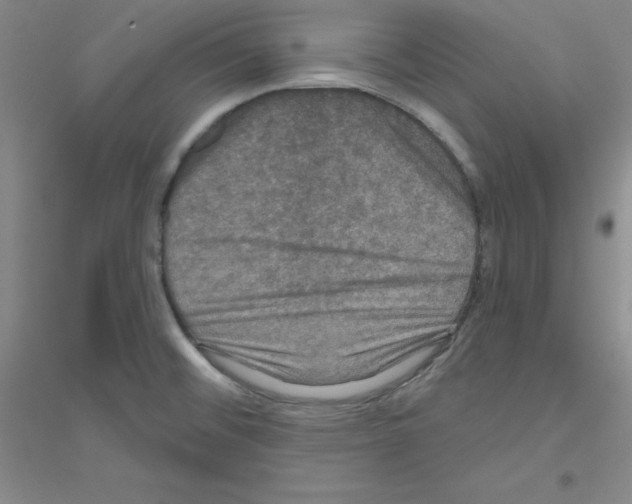 X0000116871476201002021117