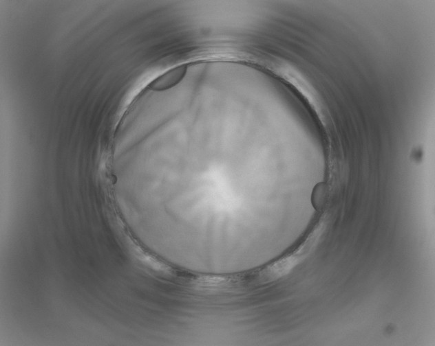 X0000116871481201002021117