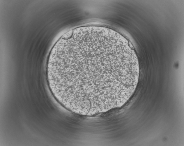 X0000116871483201002021117