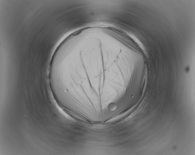 X0000116871484201002021117