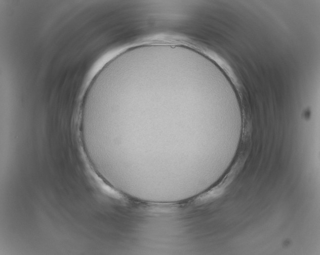 X0000116871486201002021117