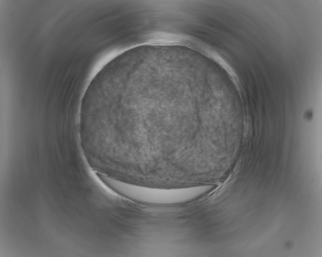 X0000116871487201002021117