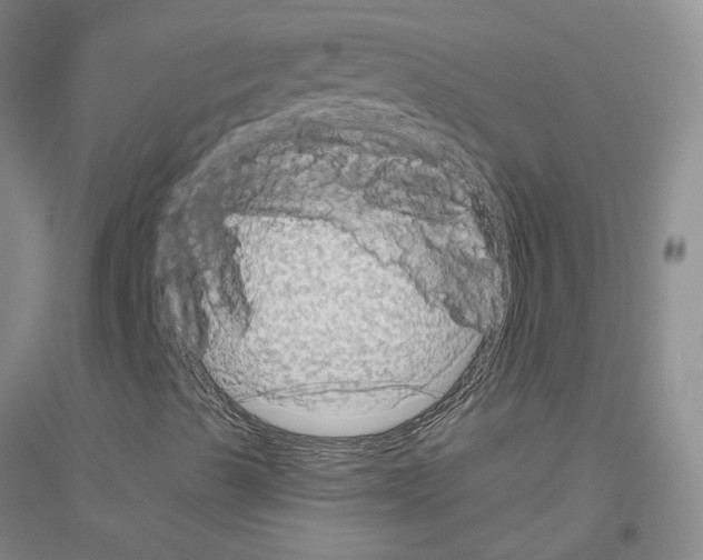 X0000116871489201002021116