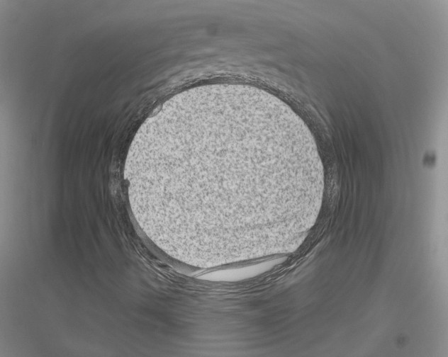 X0000116871490201002021116