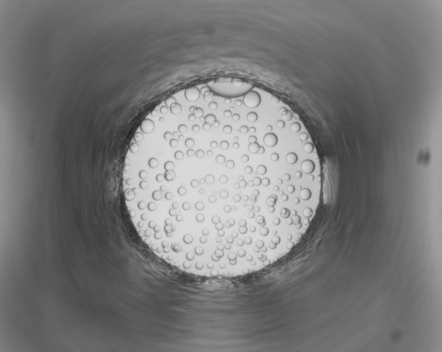 X0000116871491201002021116