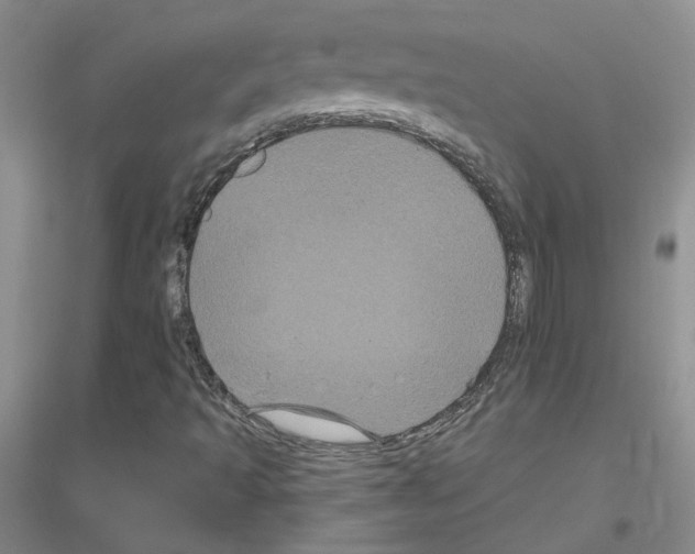 X0000116871493201002021116