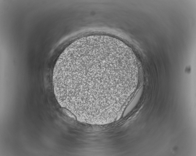 X0000116871494201002021116