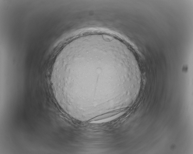 X0000116871495201002021116