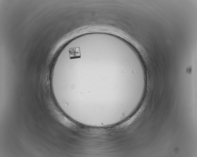 X0000116871498201002021116