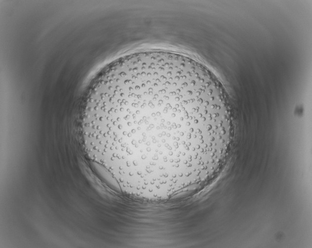 X0000116871499201002021116