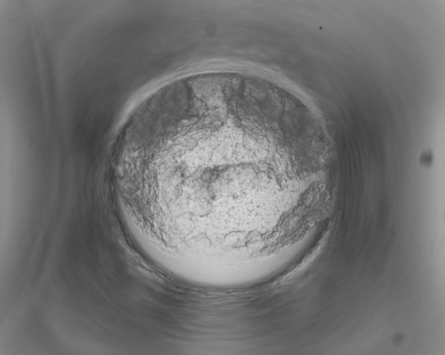 X0000116871501201002021116