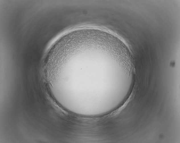 X0000116871502201002021116