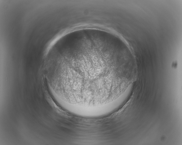 X0000116871503201002021116