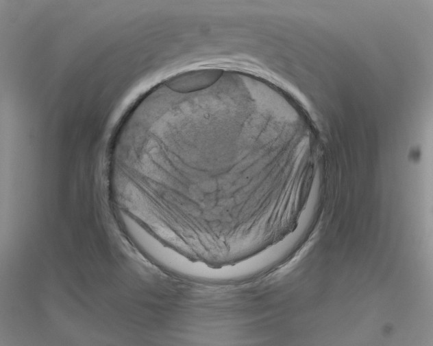X0000116871506201002021116