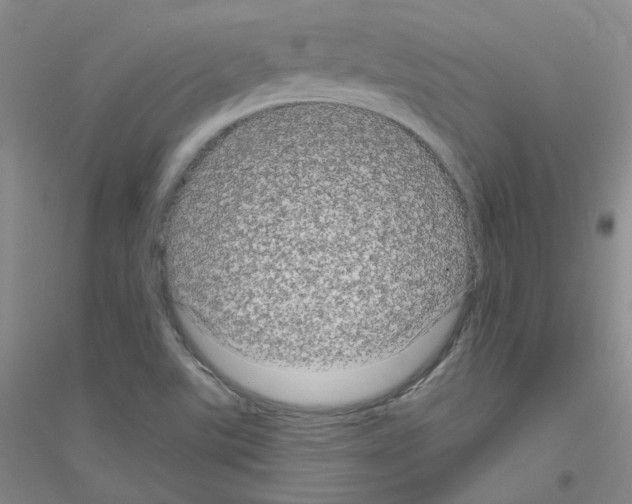 X0000116871507201002021116