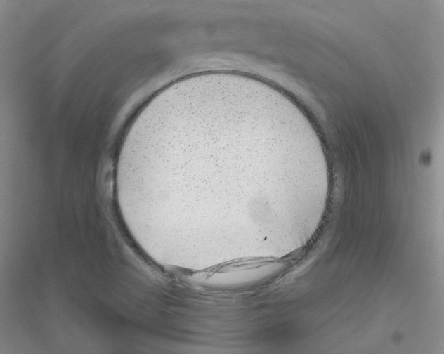 X0000116871509201002021116