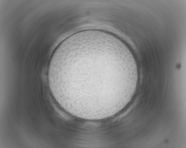 X0000116871513201002021116